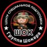 ЦСП «ШОК»