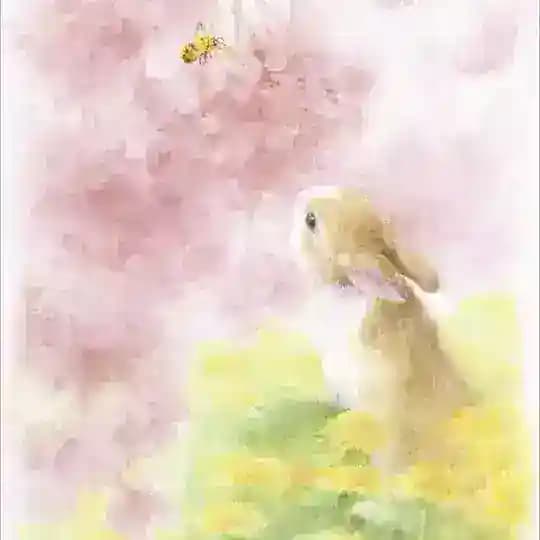 рисунки