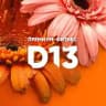 D13FITNESS