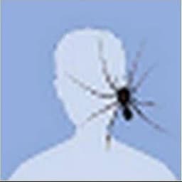 @дачайоо #shmocrew Profile
