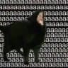 心ица не птица