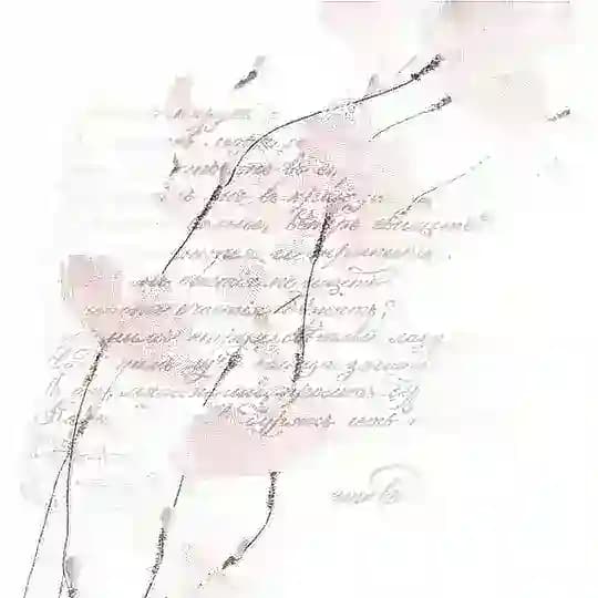 𝑴𝒚 𝒊𝒏𝒇𝒐... 𝒅𝒂𝒓𝒌 𝒓𝒊𝒑.