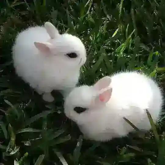 𝙙𝙖𝙩𝙞𝙣𝙜 𝙗𝙚𝙚𝙣𝙙𝙚𝙩࿐