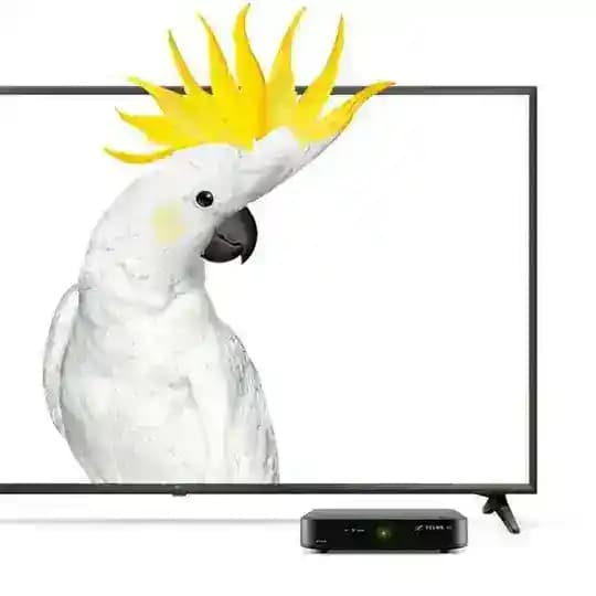 DEN.TV-ru
