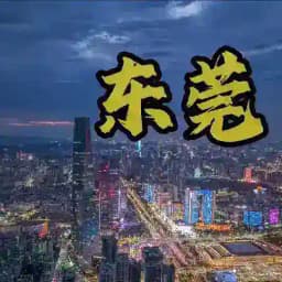 东莞白金瀚资源榜 Profile