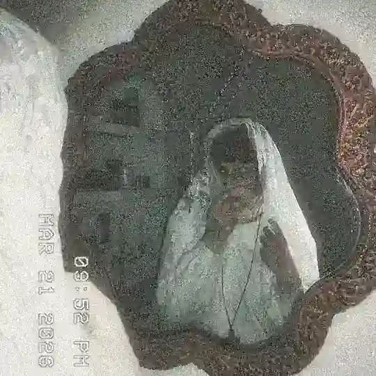 ˚˖⁑Дайкли