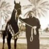 ولايف