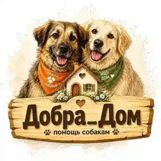 ДобраДом Помощь Животным
