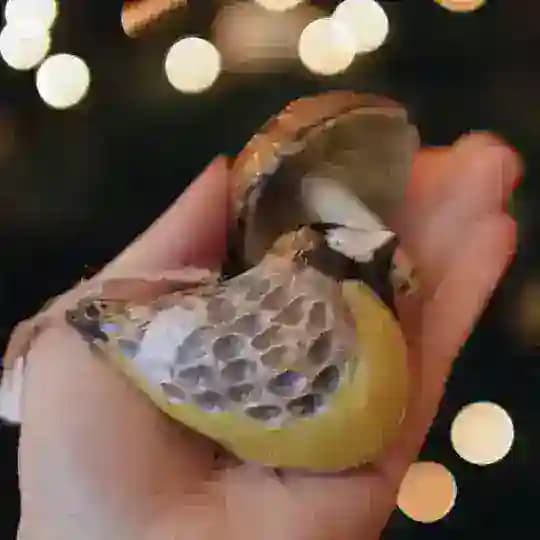 Добрая керамика