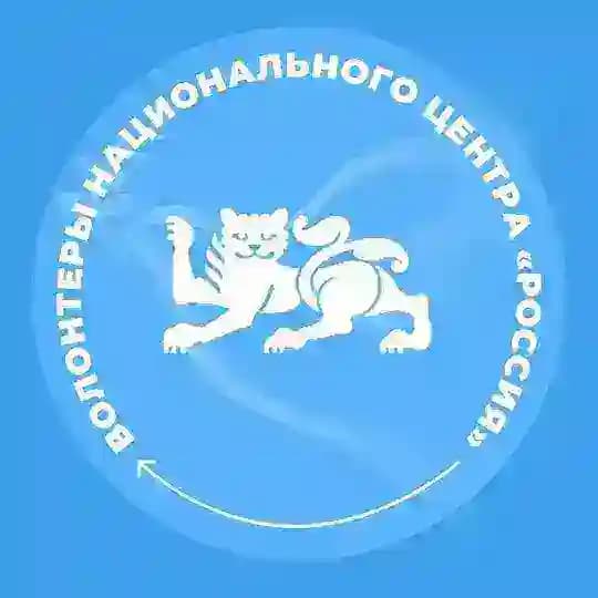 Волонтеры Национального центра «Россия»