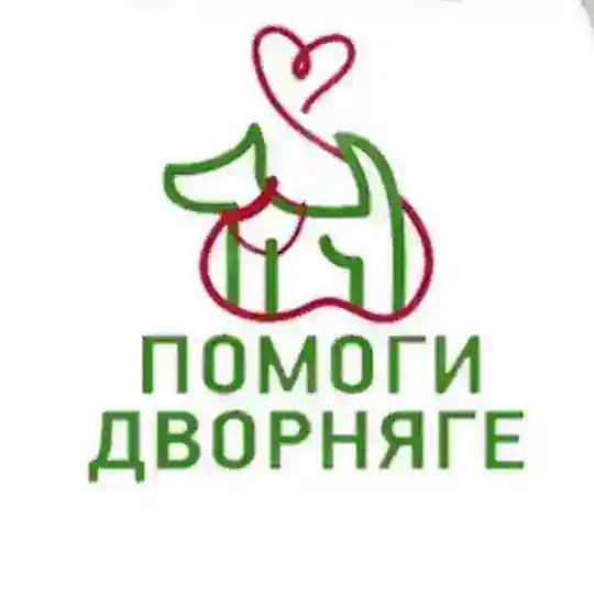 Doghelpkazan «Помоги Дворняге»