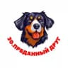 АСТРАХАНЬ "ПРЕДАННЫЙ ДРУГ"🐶