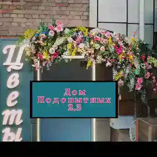 ЧИСТКА⚠️ рест 🌺🌦️Дом подопытных №2.3🌥️🌺 [записки сумасшедшего ].
