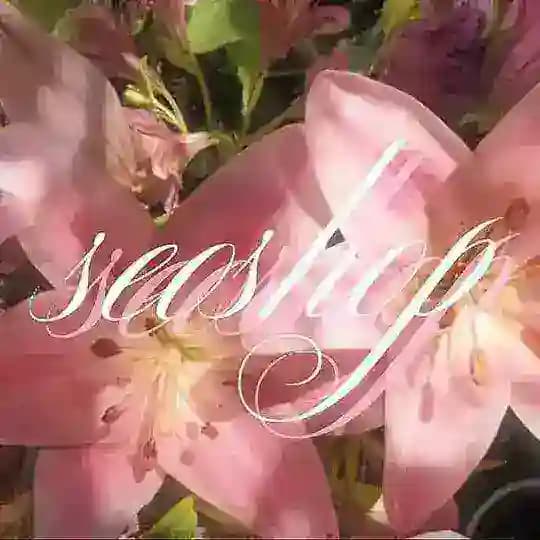 ⋆˚𝜗𝜚 𝑠𝑒𝑜𝑠ℎ𝑜𝑝 ೃ࿔*:・