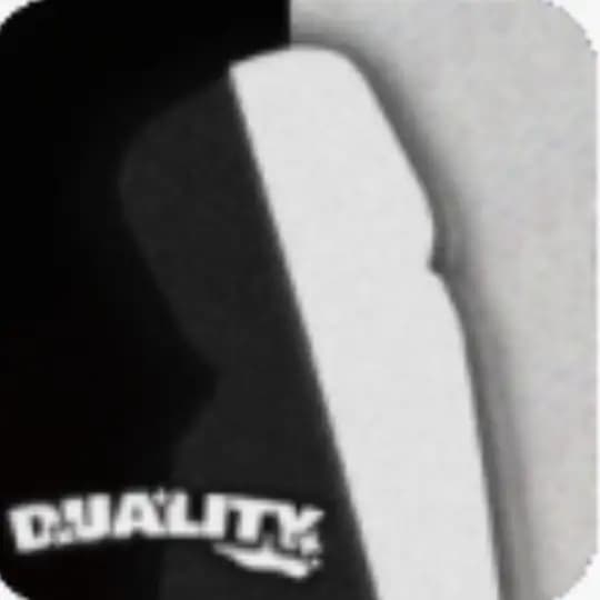 °̥̥̥̥̥̥̥̥、🕸• DUALITY | CF Profile