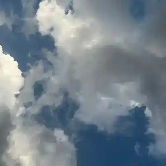 تَبَصُّر Profile