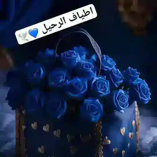 💙 أطياف الرحيل_℡💙
