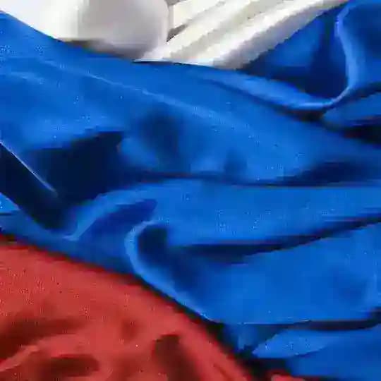 El idioma ruso Profile