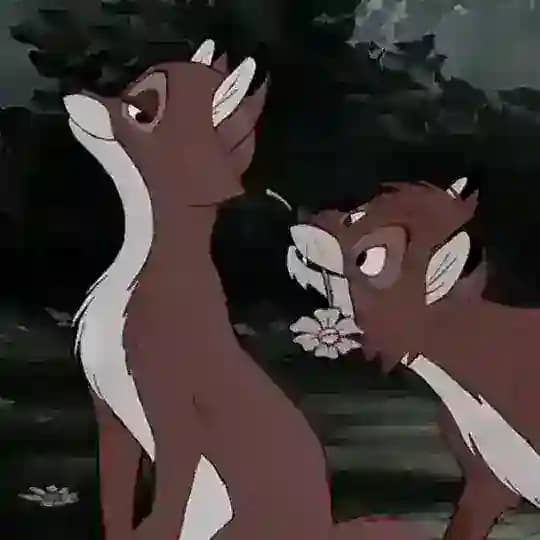 𝓔𝓵𝓵𝓮’𝓼