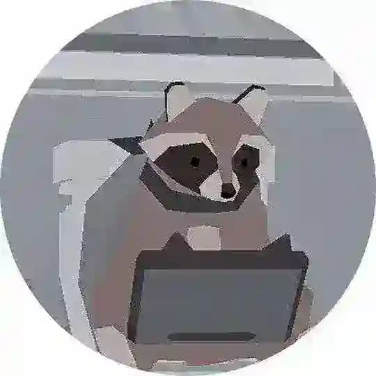 Домашний енот🦝