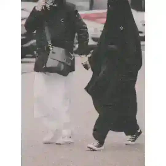 🤍