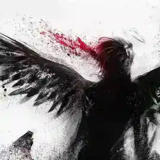 exqydaro