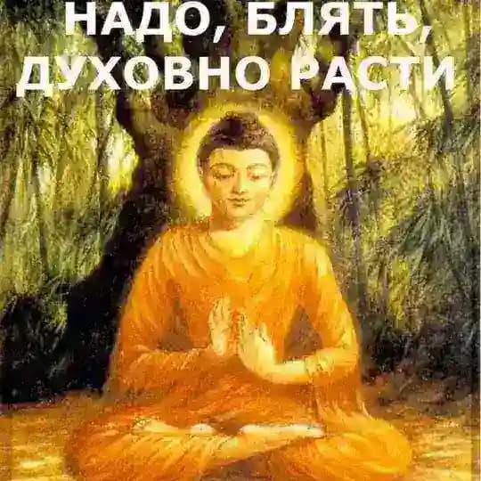 Эзо мошенники