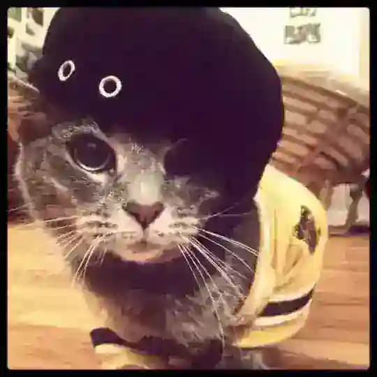 Хлоины отзывы