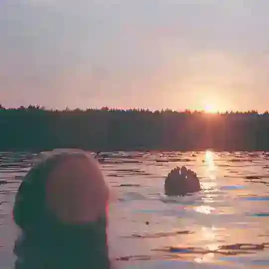 Человек, упавший на Землю