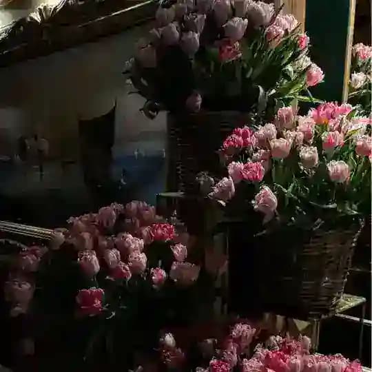 روح💗