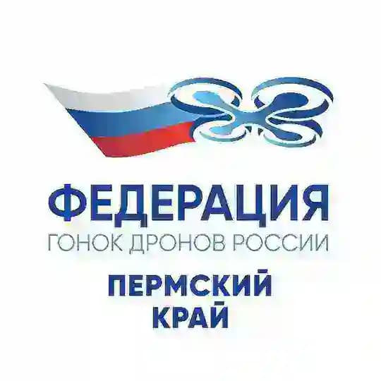 Федерация гонок дронов Пермского края