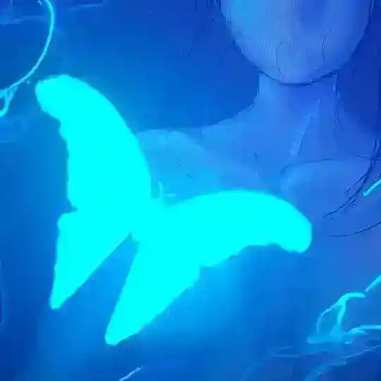 filsh 🐋