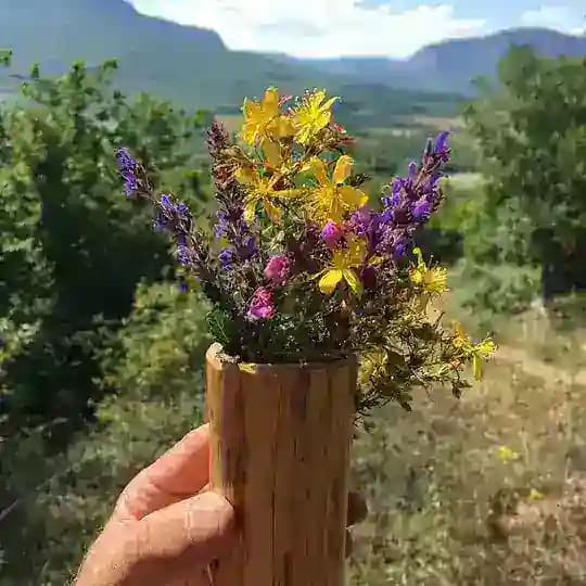 Флейтовый Кружок 🪷