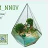 florarium_nnov