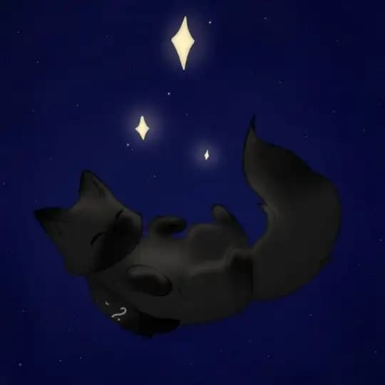 𝓕𝓵𝓸𝔀𝓮𝓻𝓼𝓯𝓸𝔁