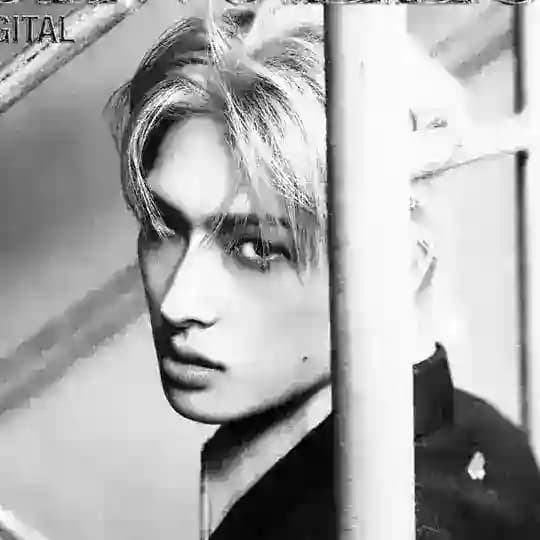 해적'피 ᶠˡᵒʷˢ ⁱⁿ ᵐʸ ᵛᵉⁱⁿˢ 🏴☠️