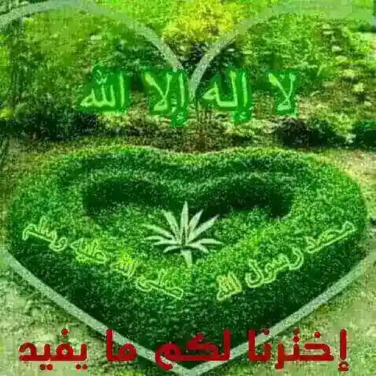 🌸 اخترنا لكم مايفيد 🌺