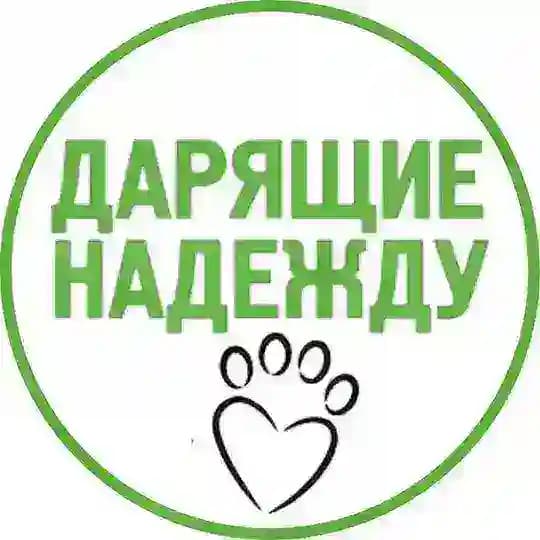 Дарящие надежду — фонд помощи животным