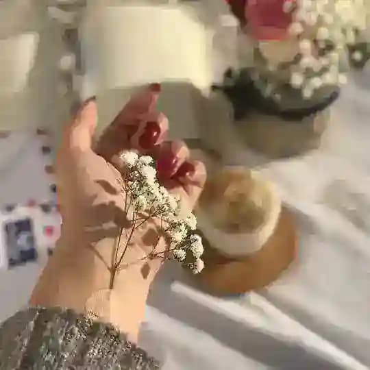جــیــهــانــی وێــنــە 🖼