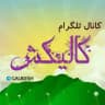 گالیکش/ Galikesh