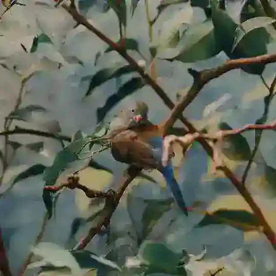 близость и расстояние