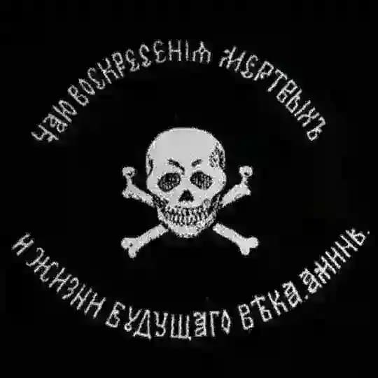 шышка