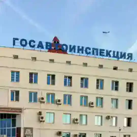 Госавтоинспекция Воронежской области