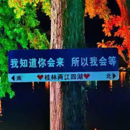 桂林报告榜 Profile
