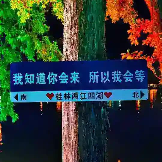桂林报告榜