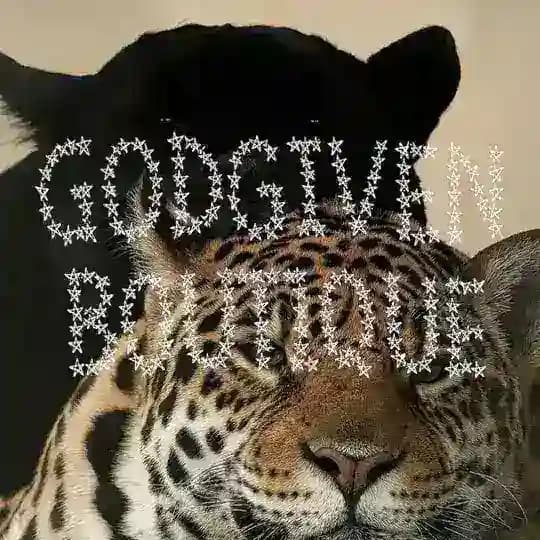 Godgiven Boutique