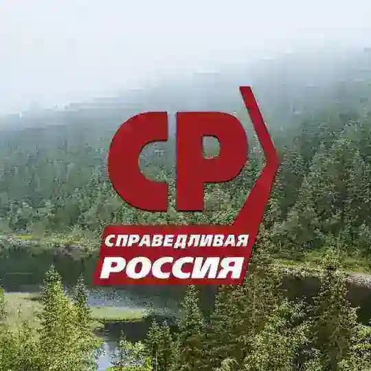 Справедливый голос — Александрово-Заводский округ