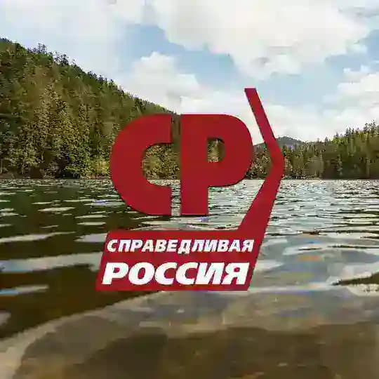 Справедливый голос — Борзинский округ