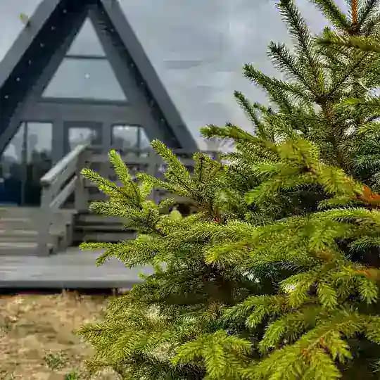 Gracehouse_vl