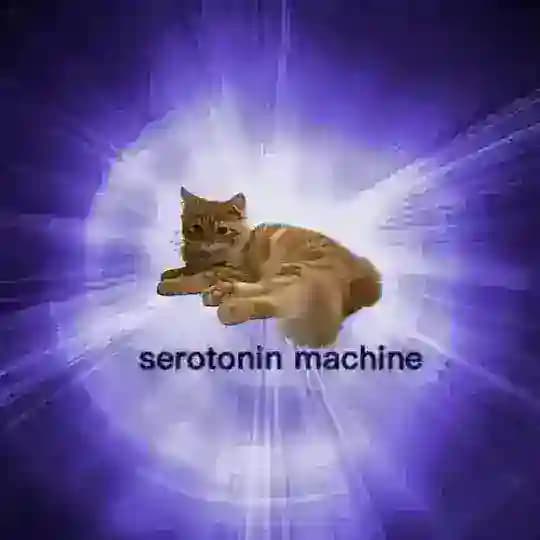 Серийная Даша